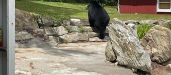 5 Minutes from Catamount Ski Area