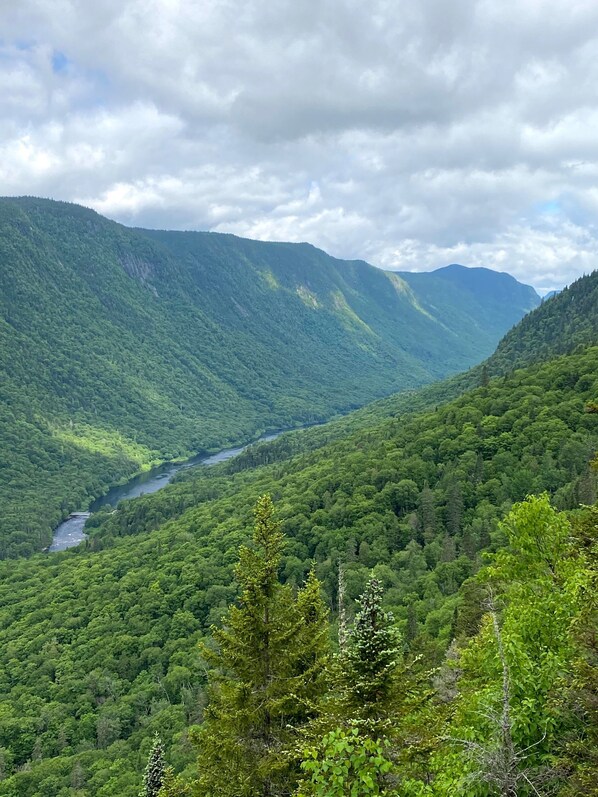 Un paisaje montañoso con un bosque denso y un río.
