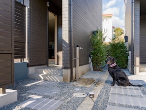 A modern building with a dark exterior, a visible door, and a dog sitting on a stone pathway.