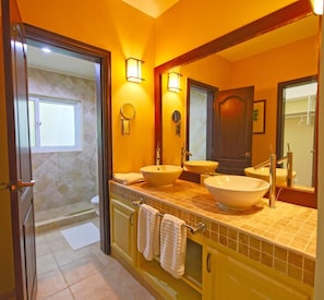 Combined shower/bathtub, bidet