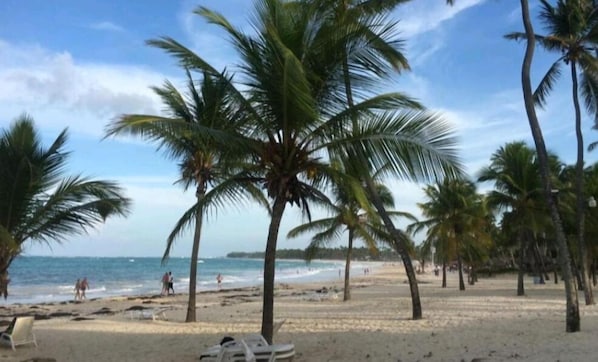Plage à proximité, chaise longue, serviettes de plage