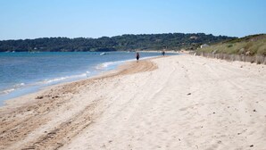 Ein Sandstrand mit einer Holzzahlung und einem bewaldeten Hügel im Hintergrund.