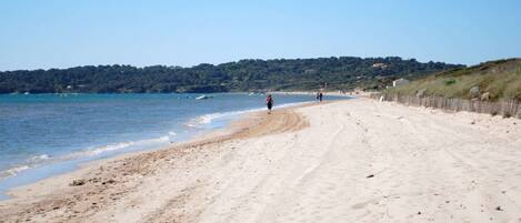 Playa en los alrededores