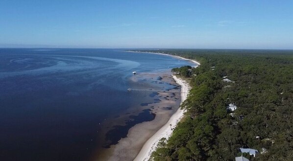 Vista aérea de una zona costera con playa de arena, bosque denso y cielo azul despejado.