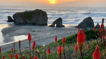 Playa en los alrededores