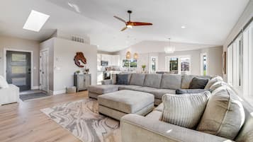 Televisión, chimenea y reproductor de DVD