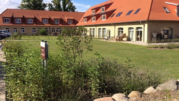 Eksteriør