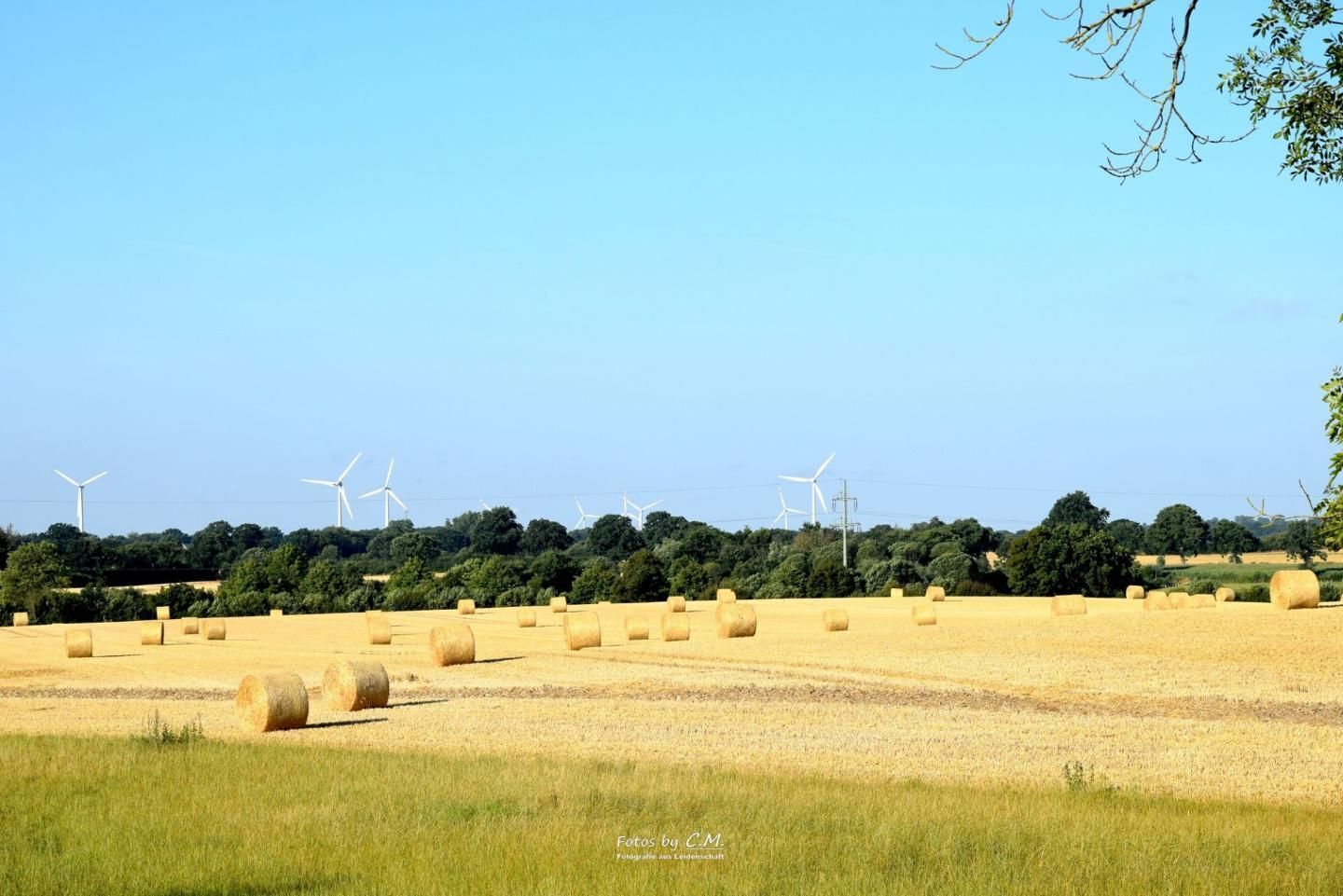 Un paysage rural avec des éoliennes et des bottes de foin dans un champ.