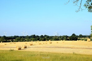 Miscellaneous - Kleine Schwalbe - a special kind of vacation - idyllic location, pure nature! (Kabelhorst)