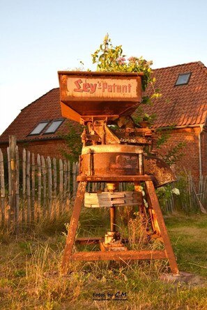 Botón de imagen sin clasificar, 3 de 37