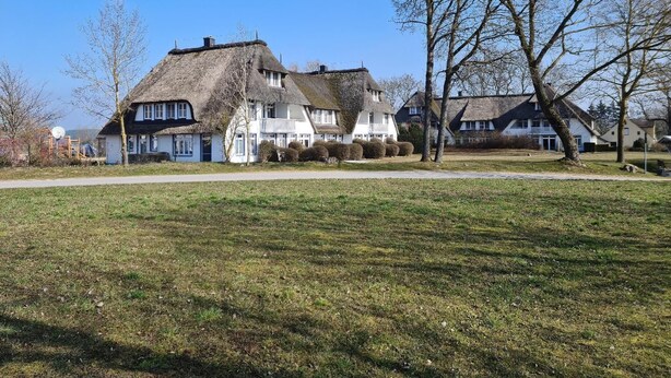 A row of traditional houses with thatched roofs, a grassy lawn, and leafless trees.
