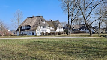 Eksteriør