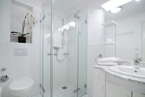 Shower, hair dryer, towels