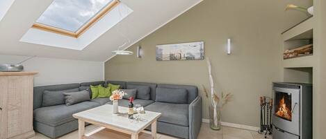 Télévision, cheminée, chaßne hi-fi