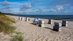 Beach chairs lined up on a sandy beach with a view of the ocean and a cloudy sky.