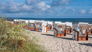 Beach chairs lined up on a sandy beach with the ocean in the background.