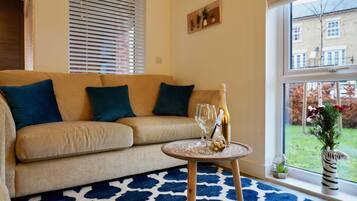 Smart TV, Netflix, books, streaming services