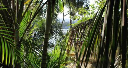 Leafy Studio with deck 2 min walk to water