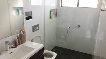 Shower, towels, soap, toilet paper
