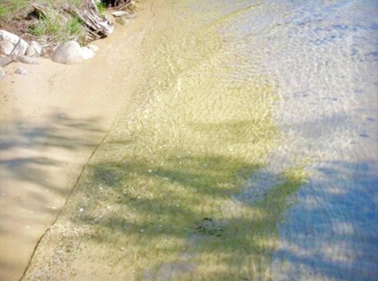A sandy beach with clear water and some rocks.