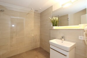 Shower, hair dryer