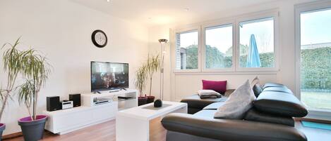 Fernseher, DVD-Player