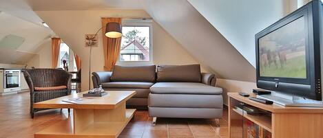 TV, DVD player, stereo