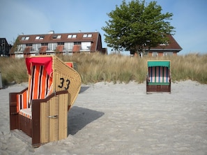 Zwei Liegestühle mit gestreiften Kissen, einer mit der Aufschrift '33', auf einem sandigen Strand, im Hintergrund hohes Gras und ein Baum.