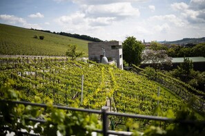 Overnatningsstedets område