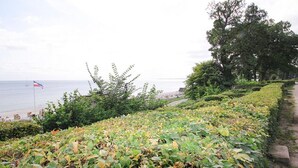 A coastal landscape with a flag, greenery, and a path leading to the beach.
