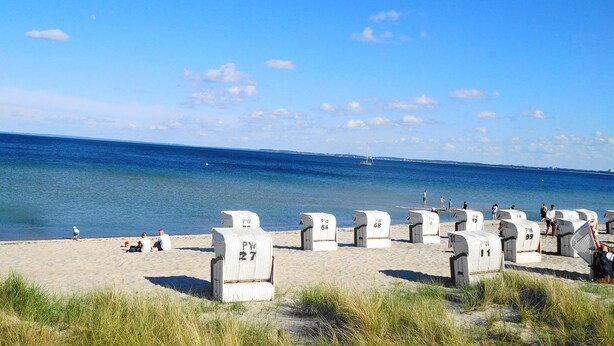 En strand med hvide strandstole mærket med tal, en klar blå himmel og havet i baggrunden.