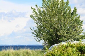 未分类图片,第 3 张,共 25 张,按钮