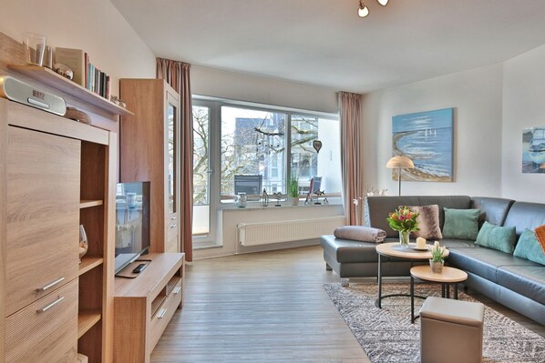 Televisión, reproductor de DVD y estéreo 