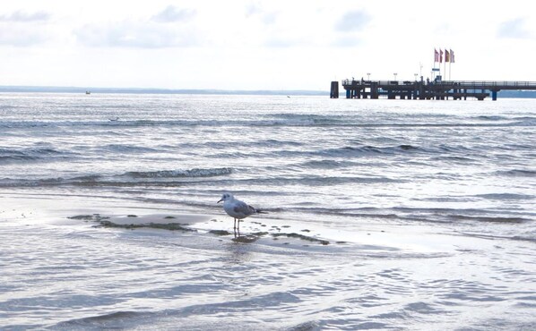 Plage
