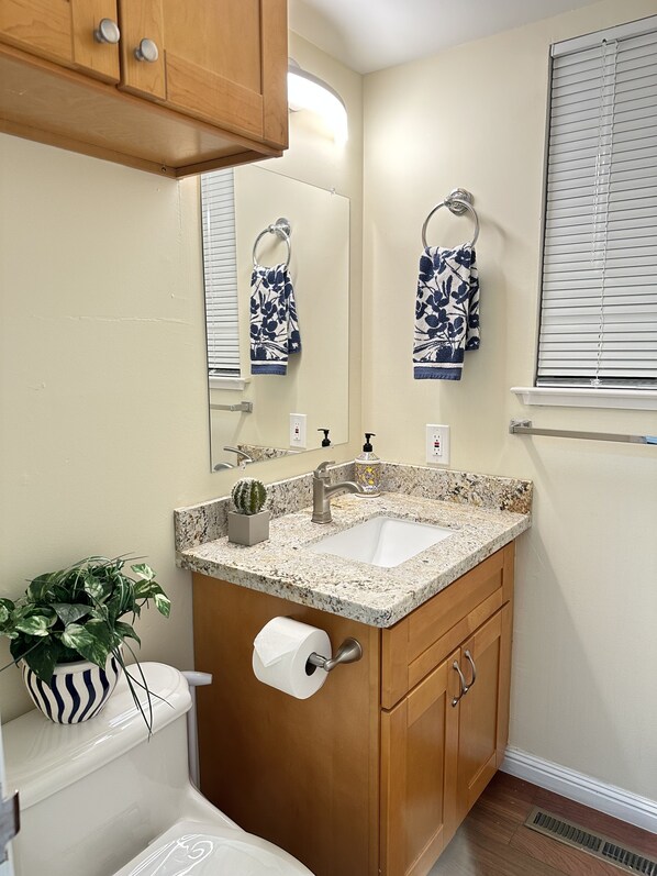 A bathroom with a sink, mirror, towel rack, toilet, and a potted plant.