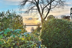 Imagen sin descripción, 5 de 50, botón