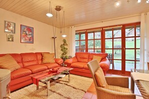 Télévision, cheminée, lecteur de DVD, chaîne hi-fi