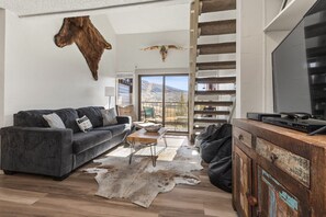 تلفزيون، مدفأة، مشغل دي في دي، مكتبة فيديو