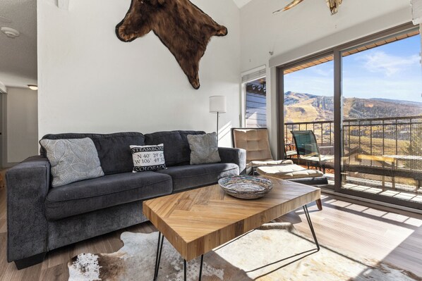 TV, fireplace, DVD player, video library