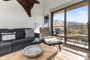 تلفزيون، مدفأة، مشغل دي في دي، مكتبة فيديو