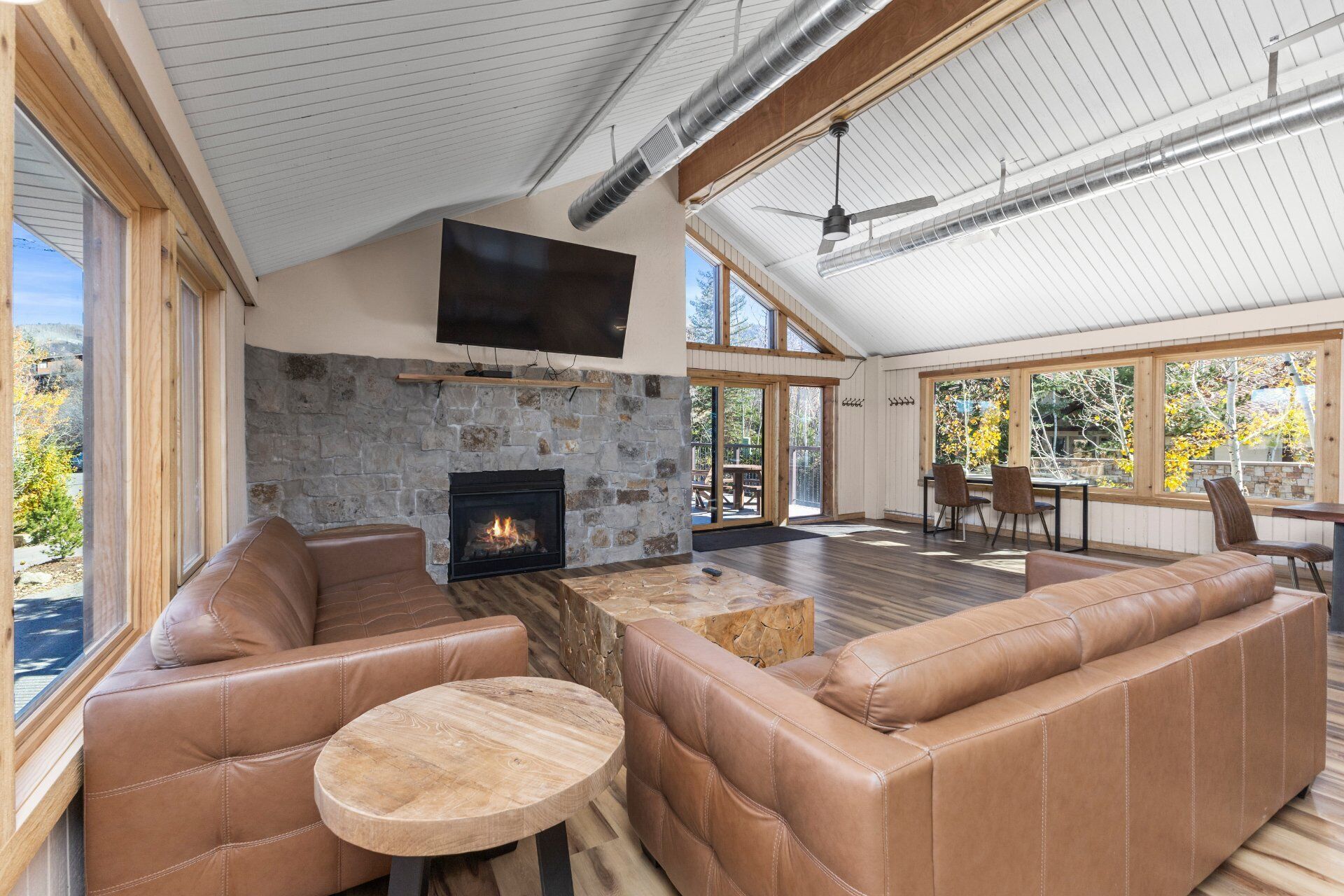 TV, fireplace, DVD player, video library