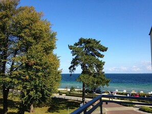 Uklassifisert bilde, 4 av 27, knapp