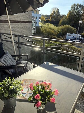 A balcony with a table, chairs, and a potted plant.