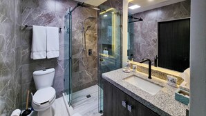 A modern bathroom with a glass-enclosed shower, a toilet, a sink with a vanity, and a large mirror. - Unit 216-Casa Ricardo-Ocean View RENOVATED!! (Cabo San Lucas)