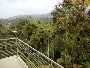 Property grounds - Galkotuwa Estate (Kandy)