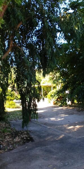 Property grounds - A Teppa, le Grevillea, Loft (Luri)