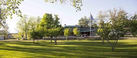 A building with a green roof, surrounded by a well-maintained lawn and trees.