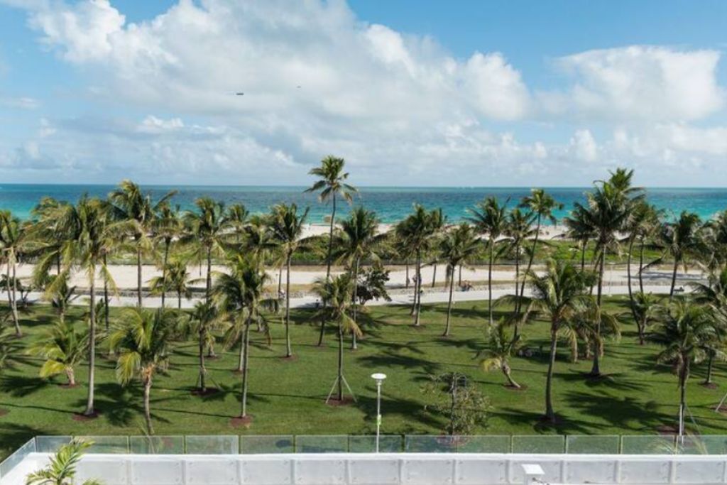 SOUTH BEACH-FAMILY,FRIENDS GATHER, FUN IN THE SUN