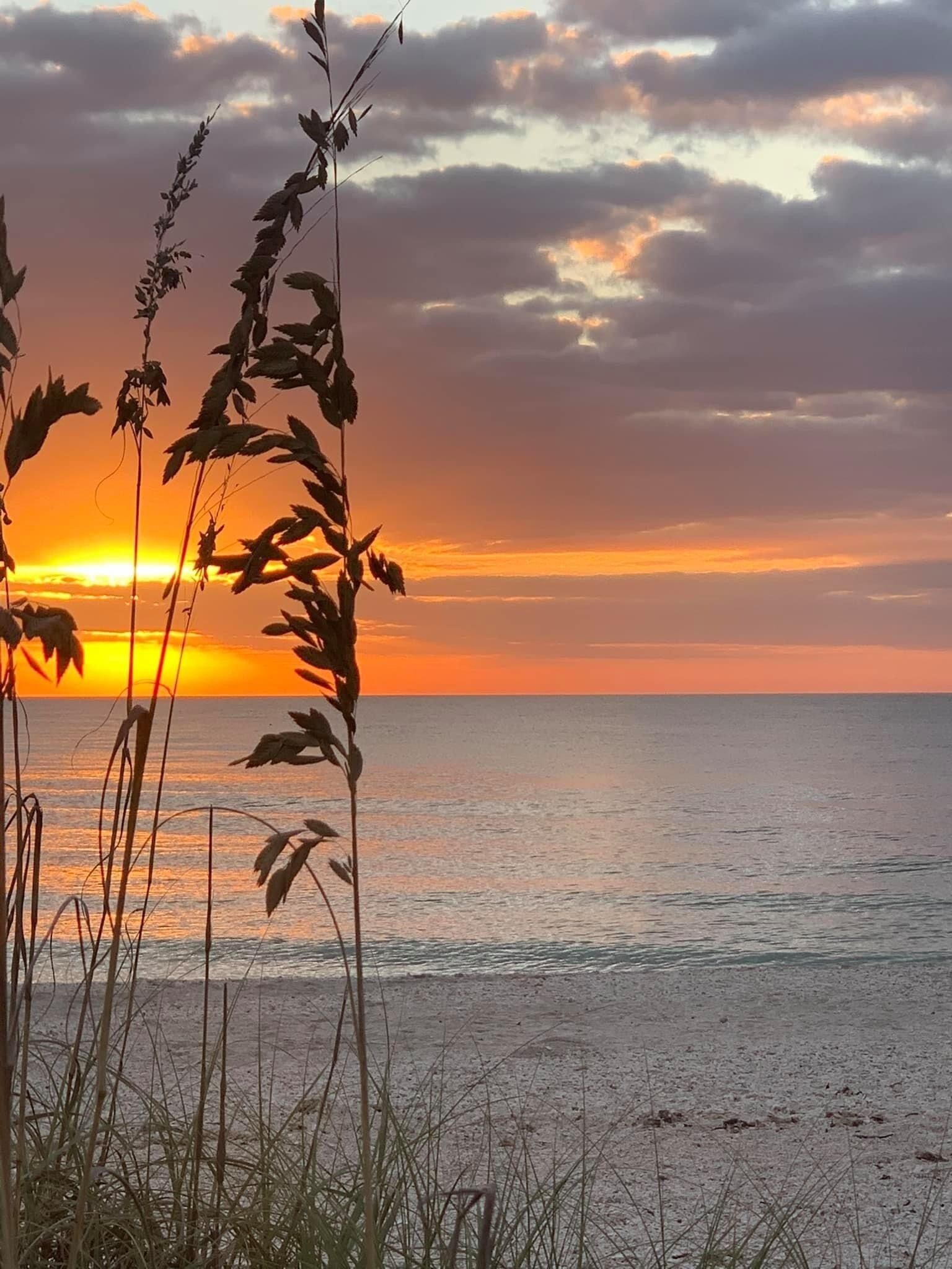 Une plage avec de hautes herbes au premier plan et un coucher de soleil sur l’océan.