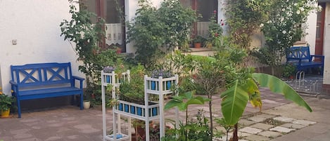 Terras